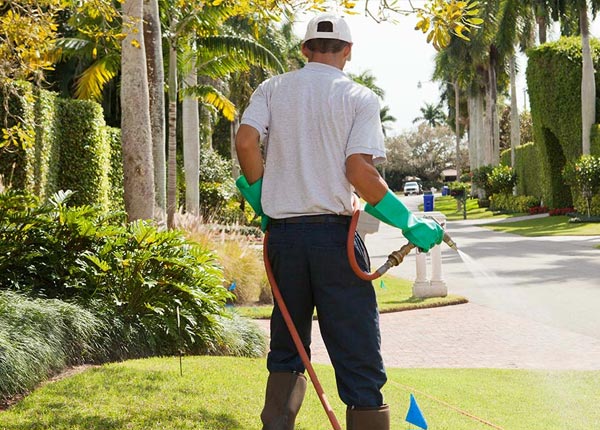 About Overbrook KS Pest Control